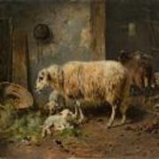 Moutons