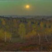 Moonlit Night in the Montmorency Forest